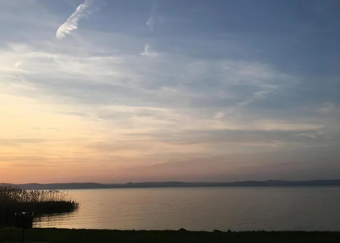 Resident אורחן *