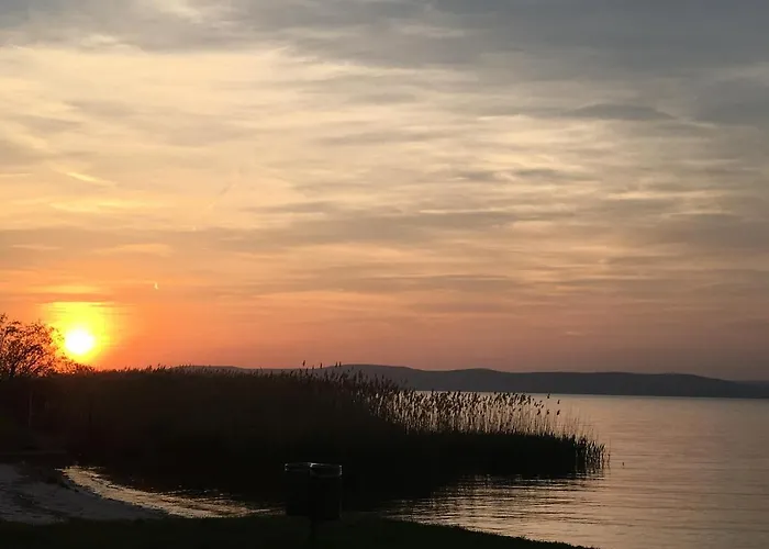 Resident אורחן *